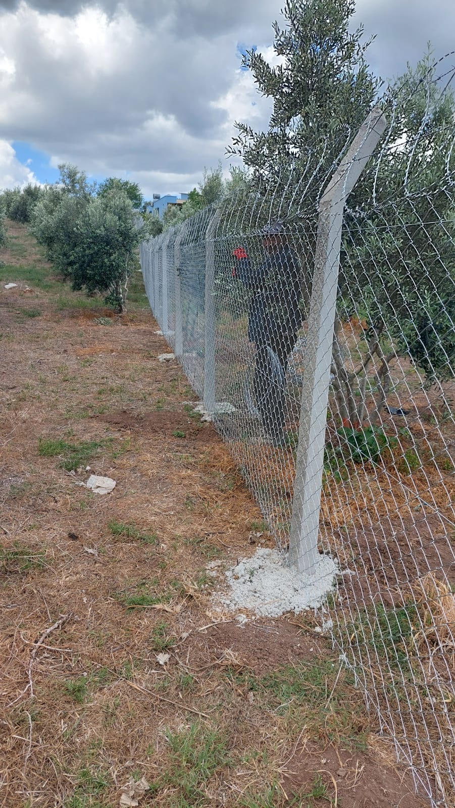 240cm Eğimli Beton Çit Direkleri